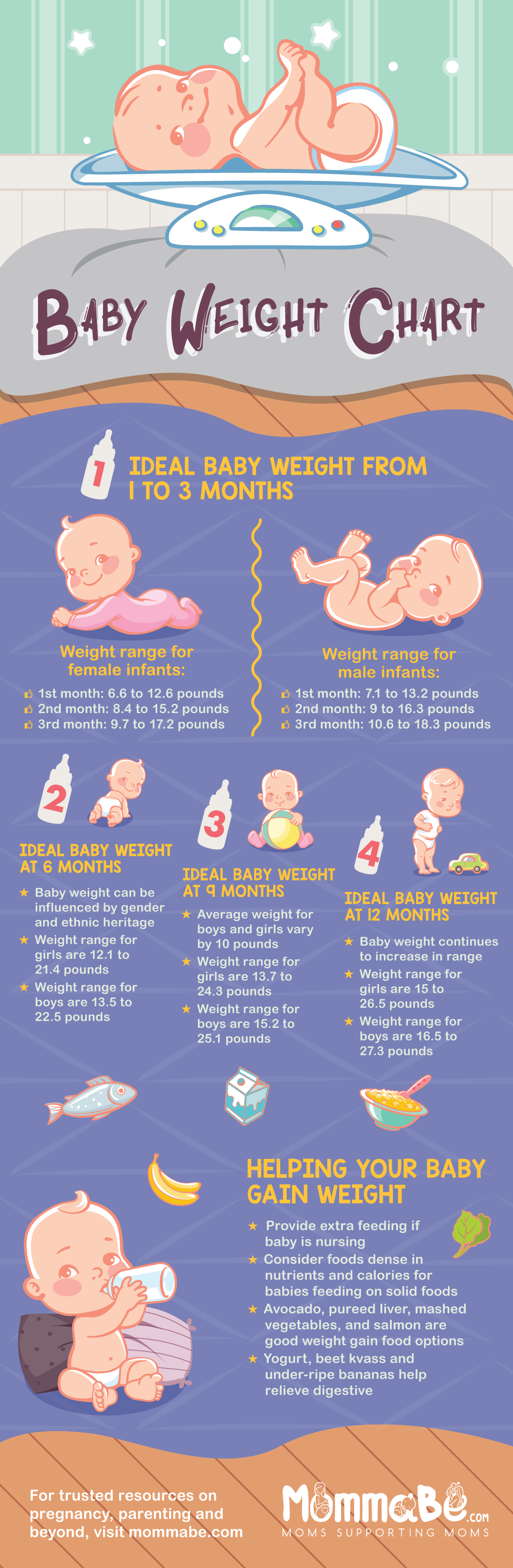 Infographic | Baby Weight Chart